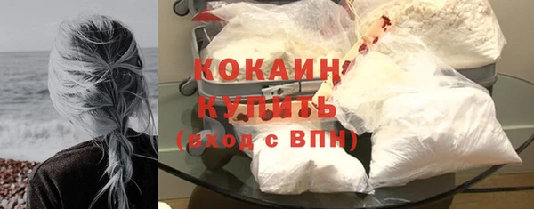 крисы Баксан