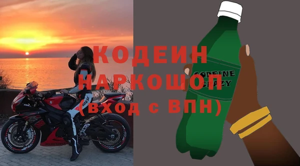 мдпв Алапаевск