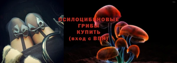 крисы Баксан