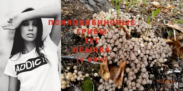 мескалин Белокуриха