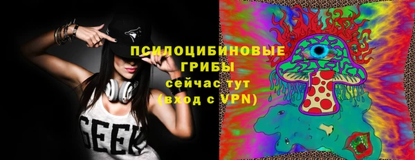 крисы Баксан