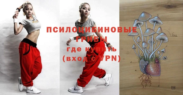 крисы Баксан