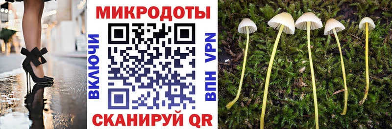 сайты даркнета наркотические препараты  Белоозёрский  Галлюциногенные грибы GOLDEN TEACHER  где можно купить  